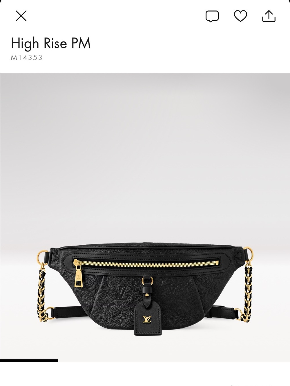 Louis Vuitton Black Embossed Leather High Rise PM Belt Bag with Gold Hardware - Picture 1 of 4